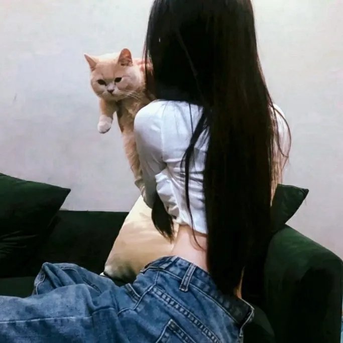 金粉帝后